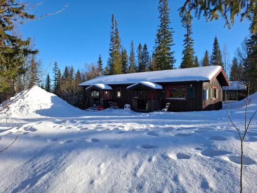 Undersaker House | Åre, Trillevallen stuga Lycka