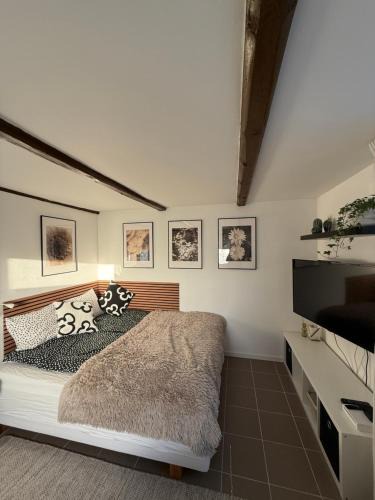 Kagerod House | 1st Class Escape
