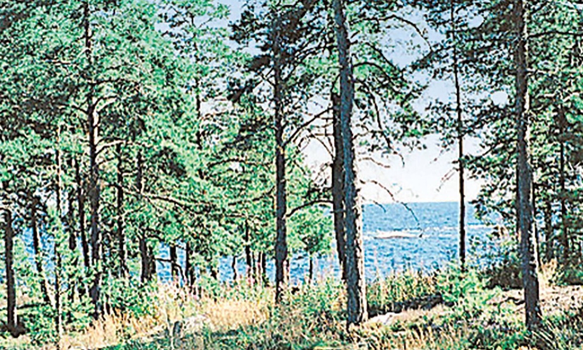 Hammaro House | 4 bedroom accommodation in Hammarö
