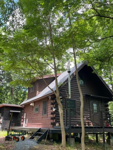 Ogi House | A Sleeping Forest