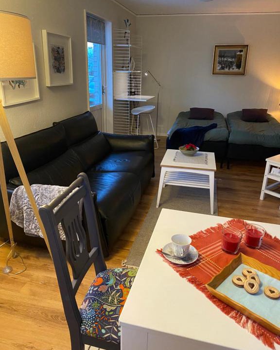 Vaxjo Apartment | Abonnera centralt Växjö