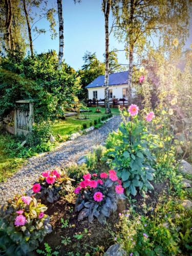 Kaseberga Apartment | Ales BnB Lägenheten
