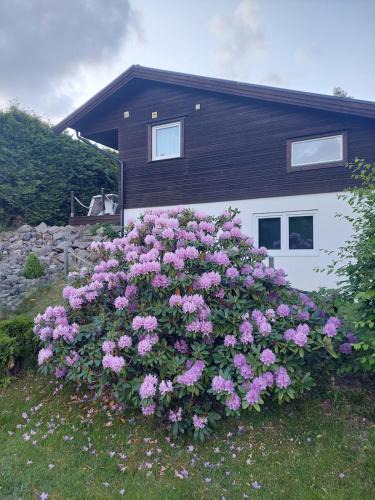 Stromstad Apartment | Apartment Strömstad, Lökholmen