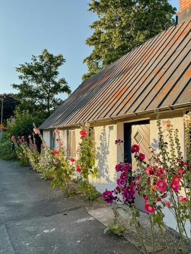 Garsnas House | Charming House In Österlen With Lush Garden