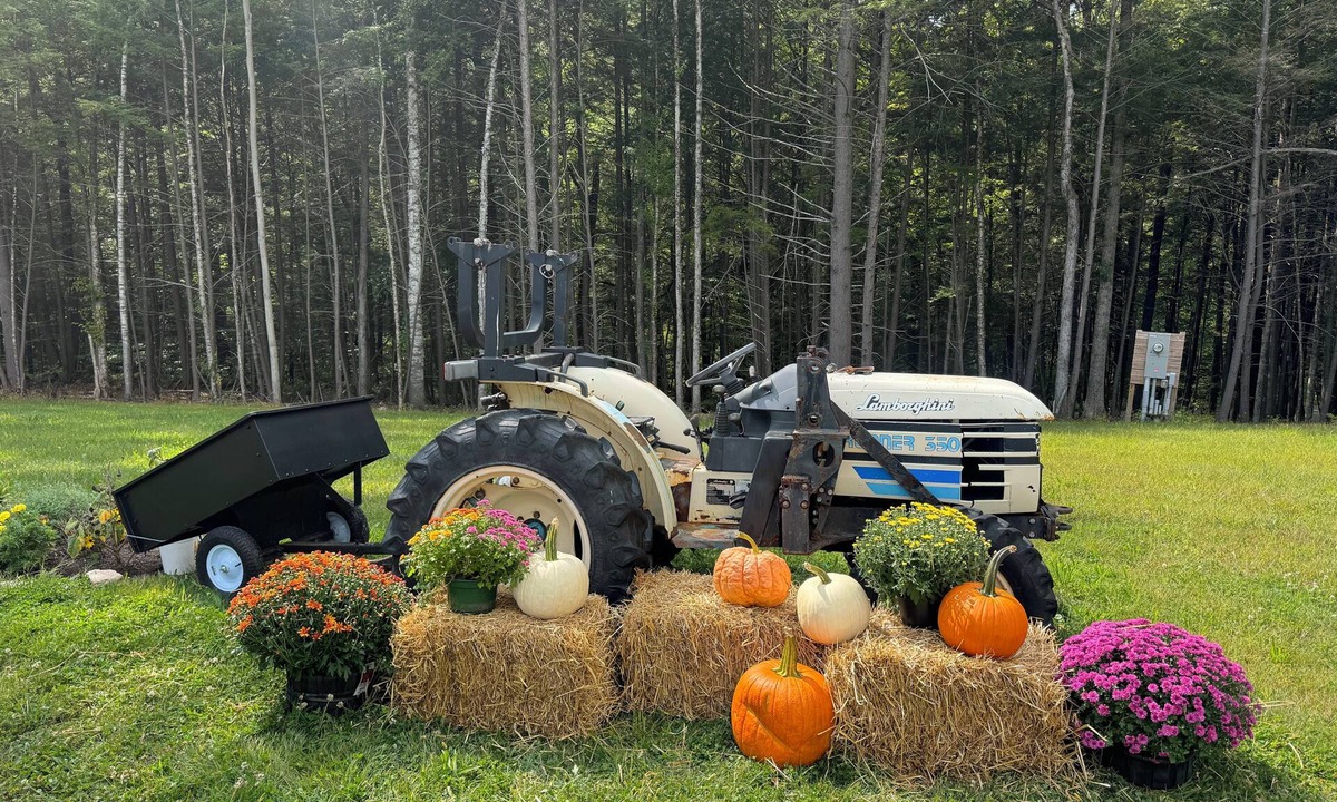 Putney Cabin | Charming luxury tiny cabin with AC and all the amenities in peaceful Putney