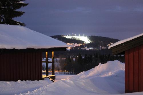 Froson Other | First Camp Frösön-Östersund