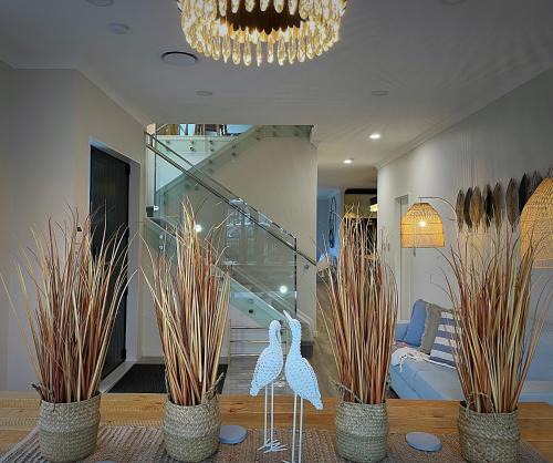 Flat Bush House | Flat Bush Holiday Accommodation
