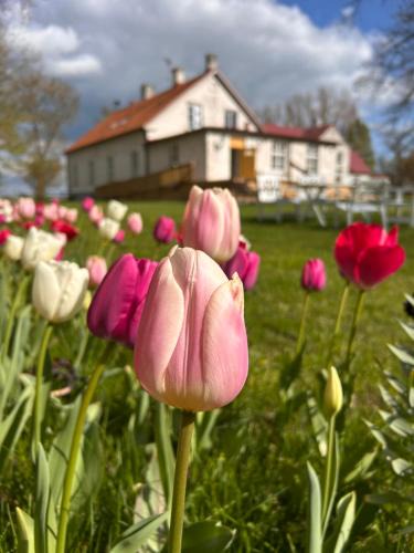 Helsingborg Bed & Breakfast | Fredriksborg