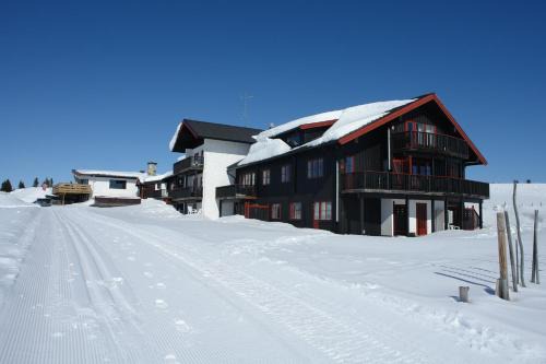 Gala Apartment | Gålåseter Jotunheimen 5