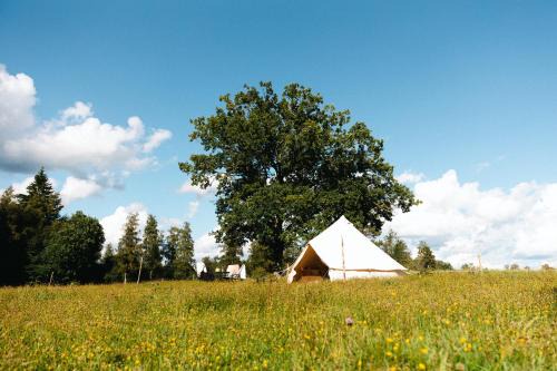 Eksjo Other | Glamping in Småland