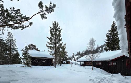 Seljord House | Gorgeous Home In Flatdal With Sauna