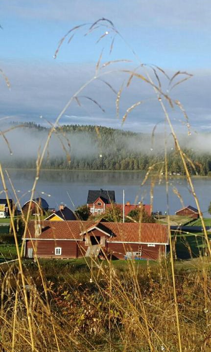 Bracke O House | Gula huset