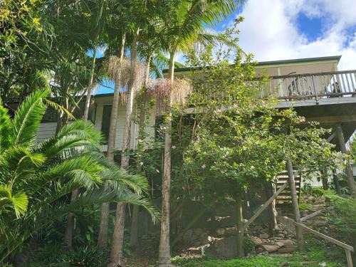 Whangarei House | Hatea Treehouse