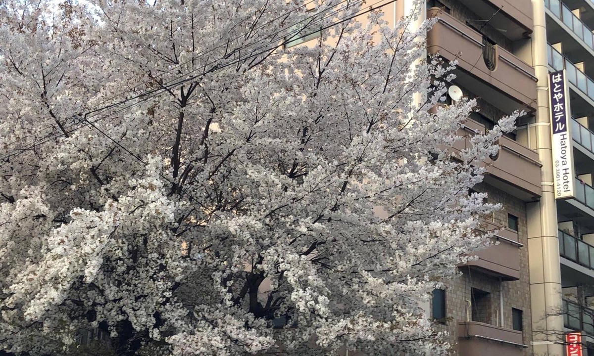 Ikebukuro Hotel | Hatoya Hotel