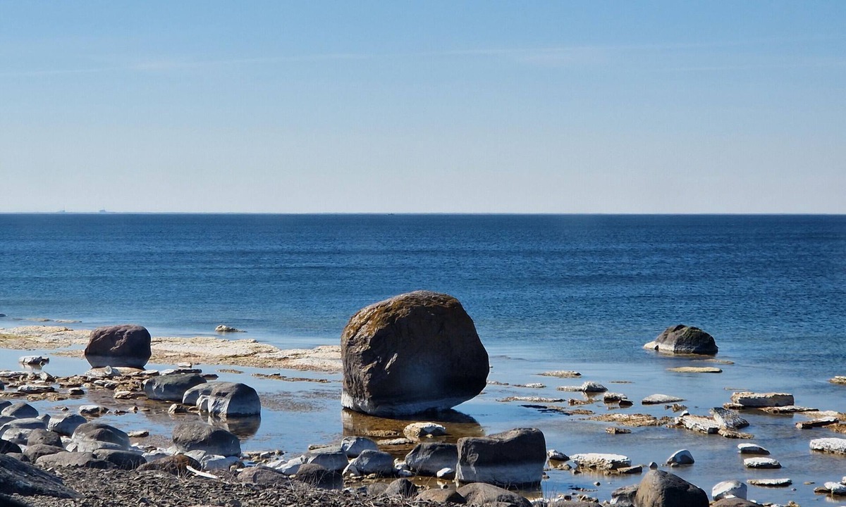 Gullabo Cottage | Holiday between forest and paddocks in Småland