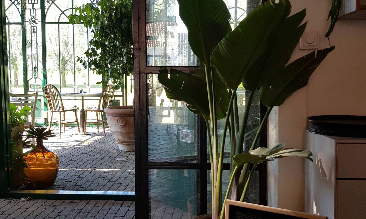 Gislov Hotel | Idala Gard