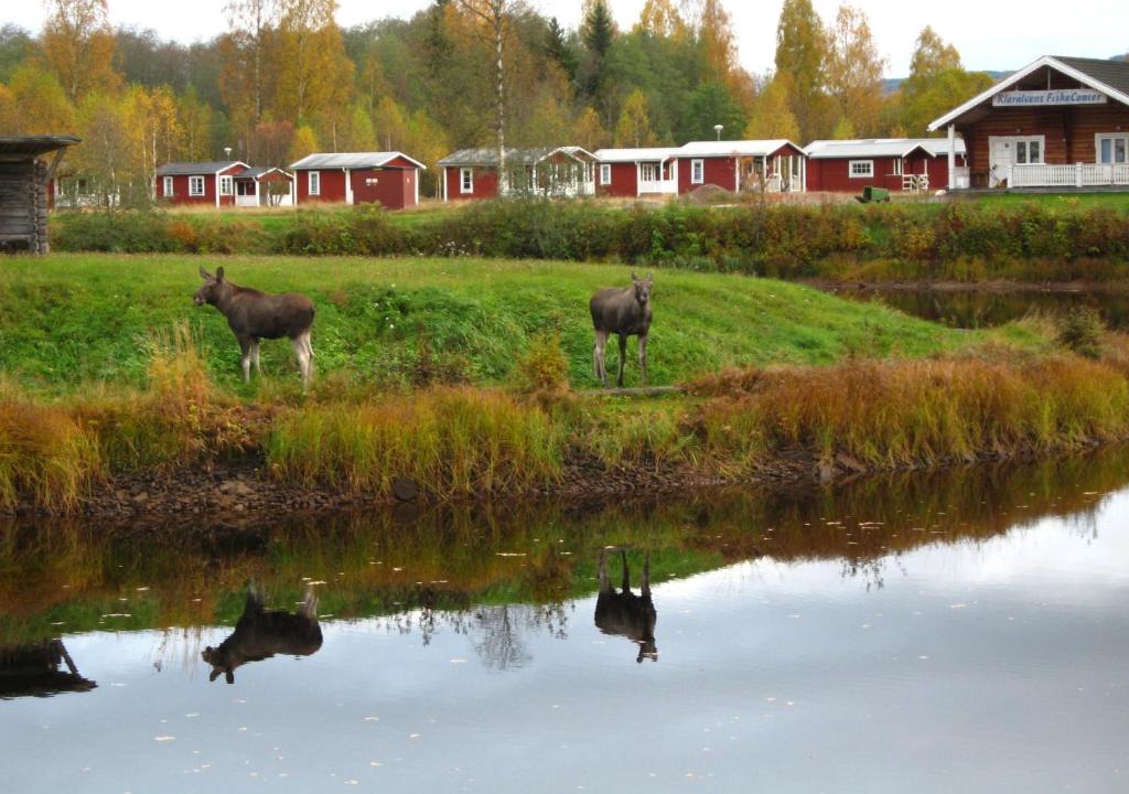 Torsby O Other | Klarälvens Camping
