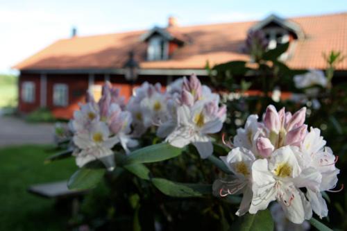 Linghem Bed & Breakfast | Klefstad gård