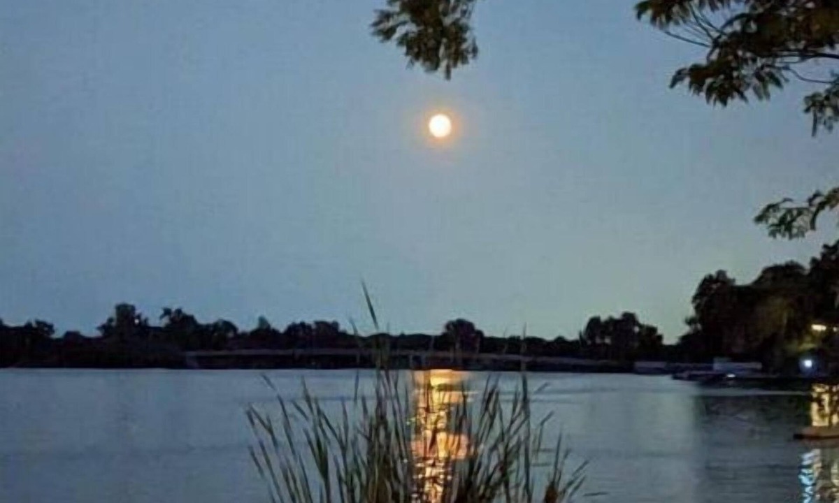 Spring Grove House | Lakefront Comfy 1BR Cabin @ The Lake-Heim by Chain-O-Lakes