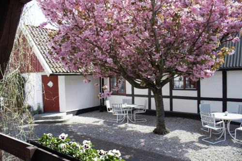 Tomelilla Bed & Breakfast | Landet Bed and Breakfast