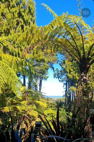 Hokitika Apartment | Oceanview at Brickfield