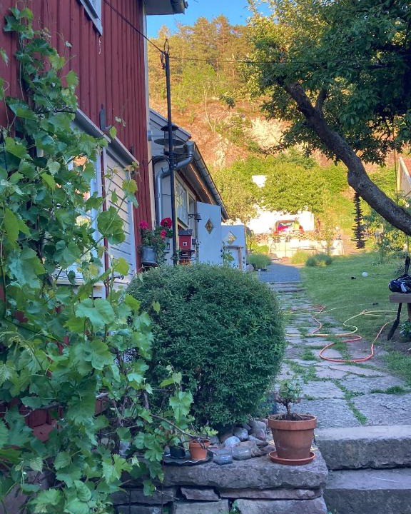 Granna House | Pinglans bakficka