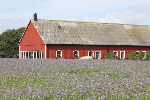 Bastad Hotel | Ramsjögård Hotell