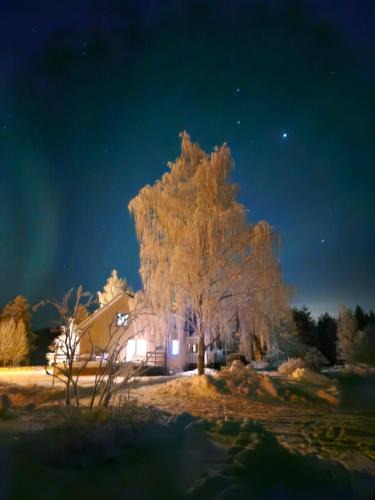 Akerlund Villa | Rengard 7
