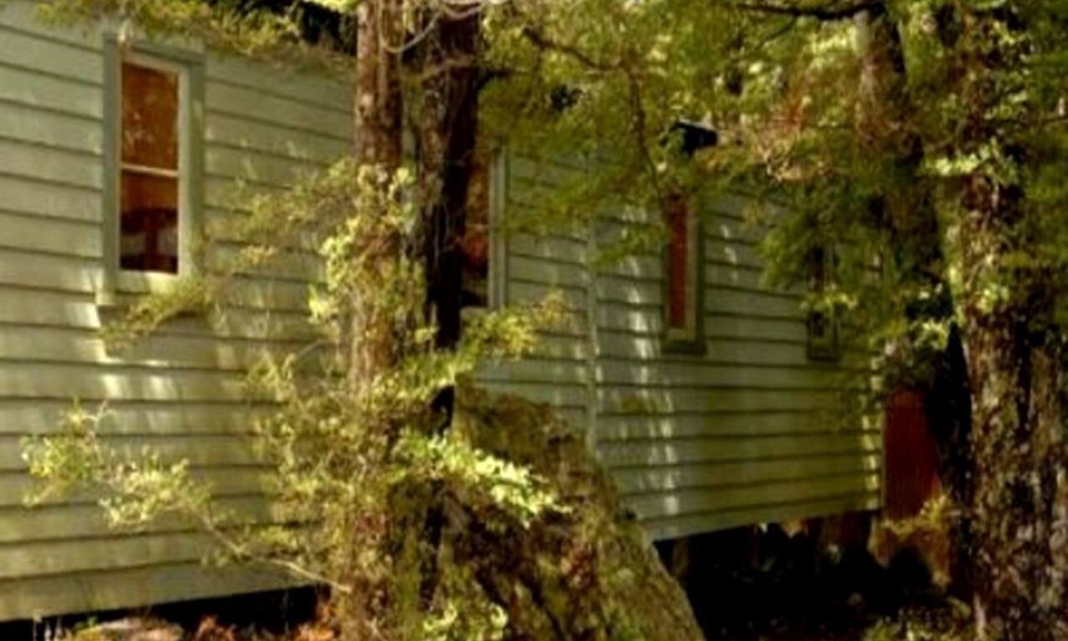 Manapouri Cabin | Romantic Accommodation with Shared Facilities on the Waiau River, New Zealand