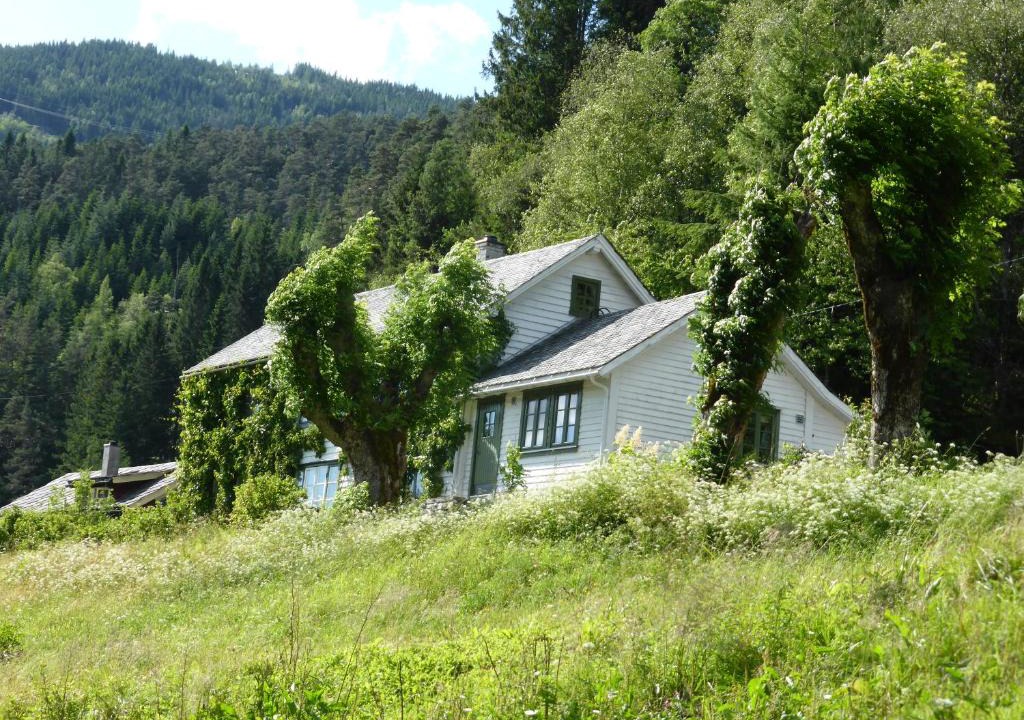 Bolstadoyri House | Rongen gard