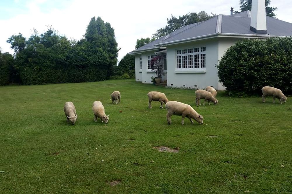 Cambridge Cabin | Rustic Getaway on a Farm with Breakfast Included in Cambridge, North Island