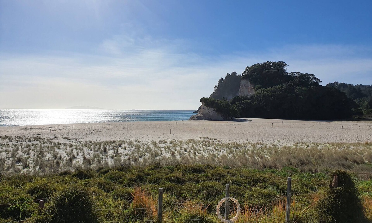 Whiritoa House | Spectacular Beachfront in Whiritoa