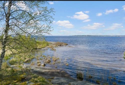 Hammaro House | Tiny house with lake view