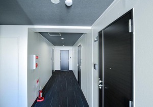 momo premium 704