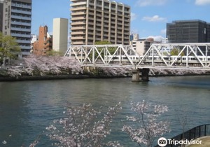Sakura Garden Hotel