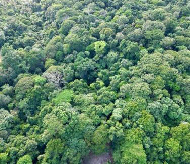 Sarapiqui Ski Chalet | Coco Cabana in the Jungle