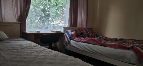 Auckland House | 伯爵山庄