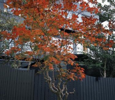 Nagawa Hotel | 光沙の森