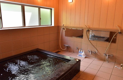 Yuzawa Hotel | 20 m² Hotel ∙ 1 bedroom ∙ 4 guests