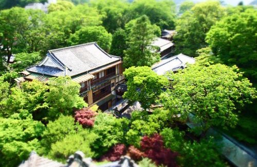 Shuzenji Hotel | Arai Ryokan