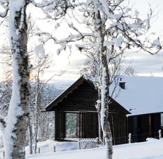 Al House | Architect-Designed Cabin With Ski Trail Near Geilo