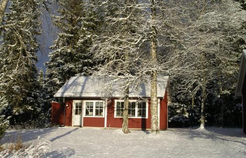 Duved Cabin | Backs Semesterby