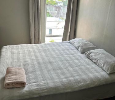 Dunedin City Centre House | Ballymena House