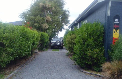 Methven Hostel | Big Tree Lodge Methven