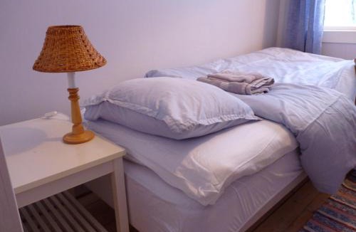 Stugun Bed & Breakfast | Borgvattnets B&B en Budget Hotel