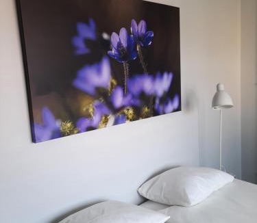 Nya Staden Bed & Breakfast | Broholm Bed&Breakfast