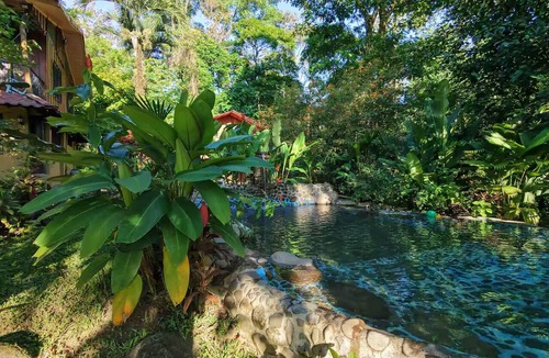 Chachagua Apartment | Cabaña Bosque Tropical con Aves cerca de Fortuna