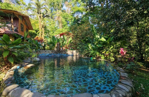 Chachagua Apartment | Cabaña Bosque Tropical con Aves cerca de Fortuna