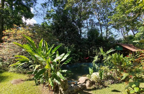 Chachagua Apartment | Cabaña Bosque Tropical con Aves cerca de Fortuna