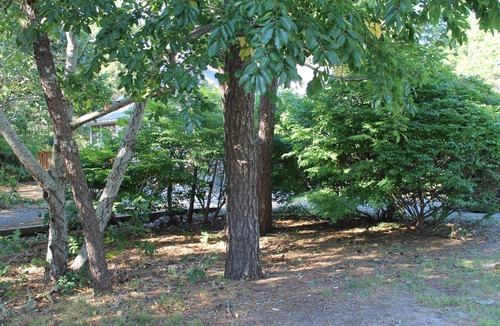 East Harwich House | Cape Cod Comfortable House Awaits!